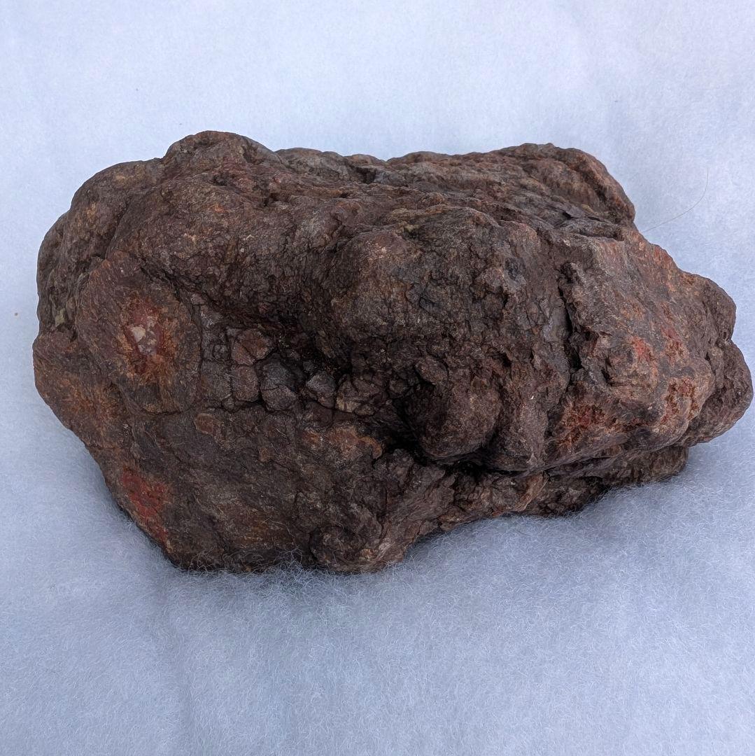 特大　本物　大型肉食恐竜の糞の化石　多彩　メノウ化　標本　1866グラム